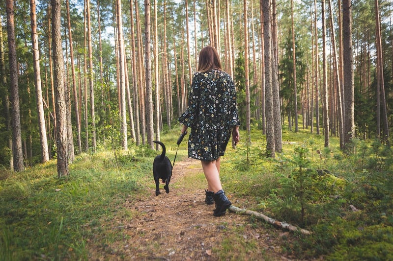 Nature Walks